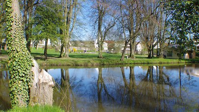 Teich im Busecker Schlosspark